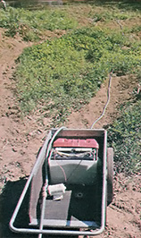 The Pratts irrigate their vegetable patch with the help of this sun-energized Teel water pump.
